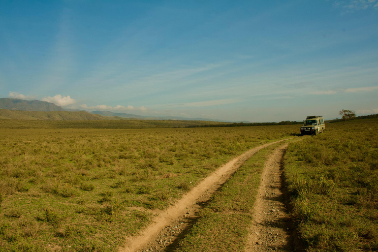 Nairobi: 7-Day Magical Kenya Safari with Meals and Transfers
