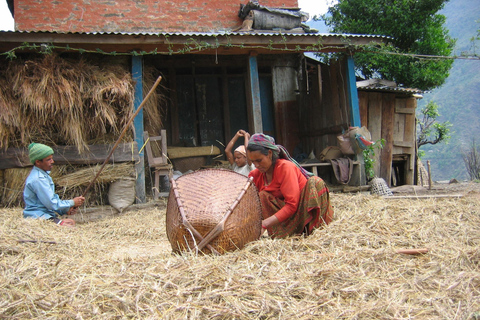 Pokhara: 2-Day Ghachok Village Tour with Homestay &amp; Hike