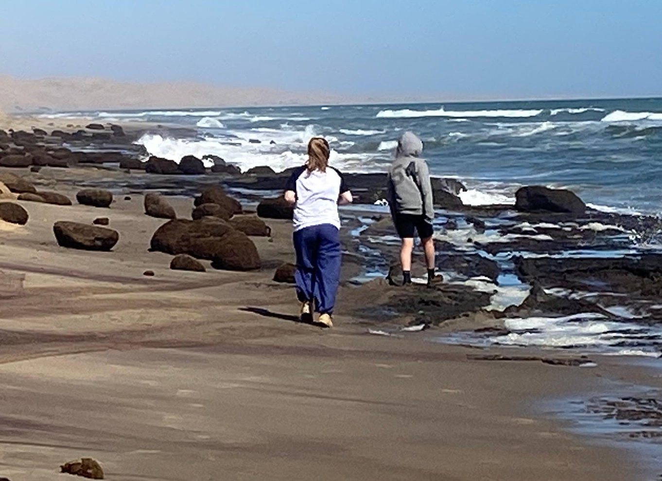 Walvis Bay: 4x4 ørkenudflugt til Sandwich Harbour Bay