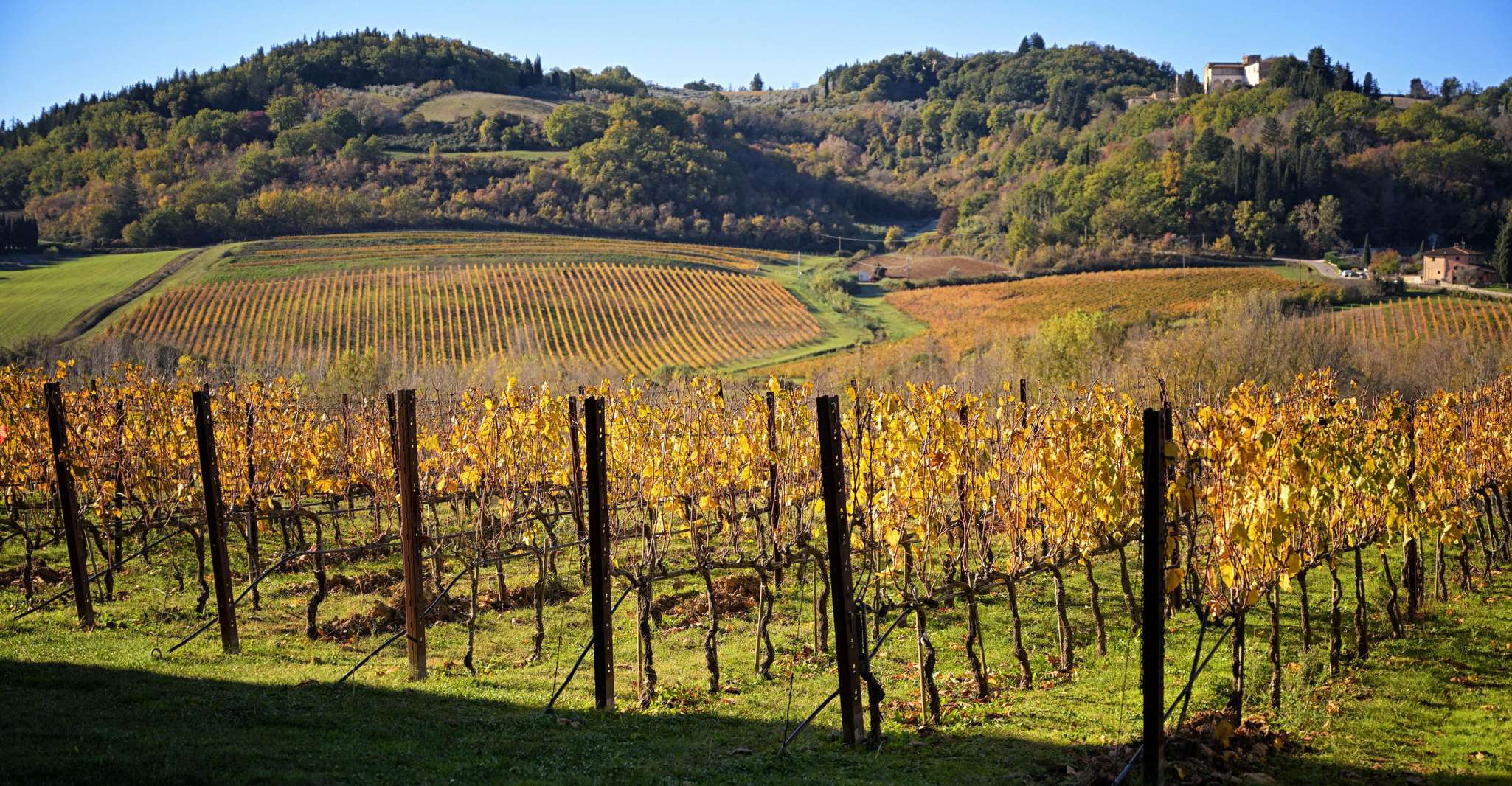 Magic Tuscany Tour photo 6