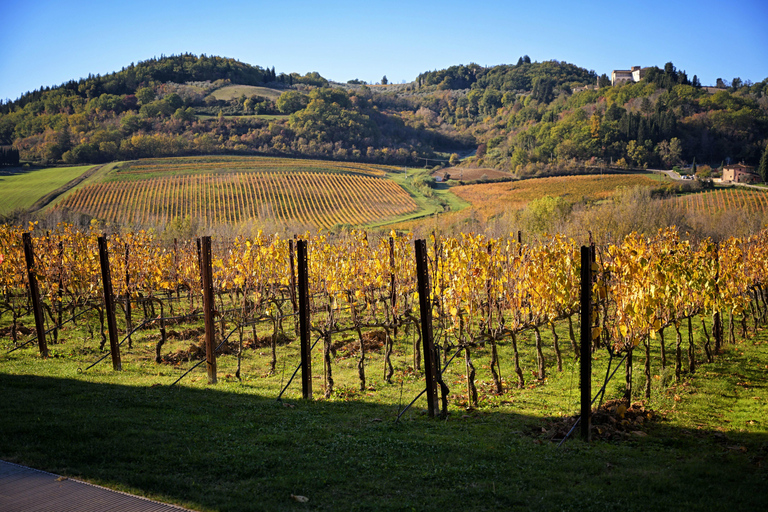 Magische Toscane TourKlassieke tour