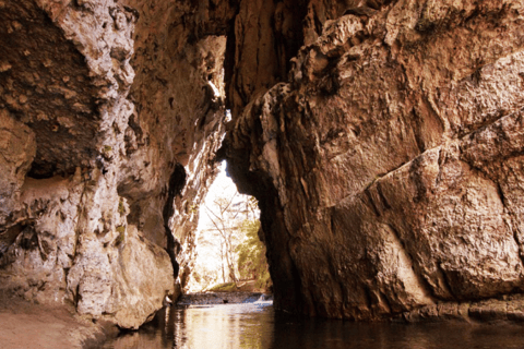 Chiapas: Grutas de Rancho Nuevo i Arcotete