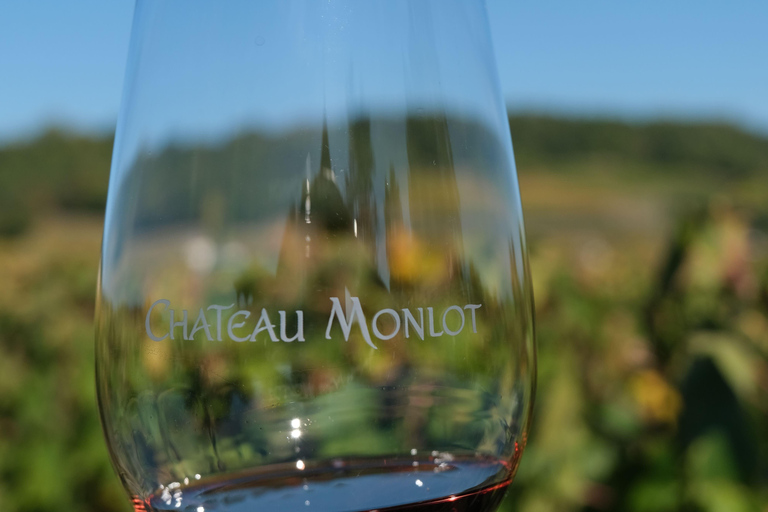 Saint-Emilion: Vineyard Visit and Gourmet Picnic Basket Saint-Emilion: Vineyard Tour and Gourmet Picnic Basket