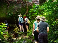 Trekking, Wandern nach Kbal Spean und Banteay Srei Private Tour - Hizvo