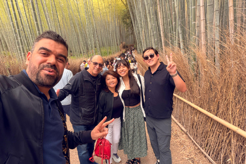Kyoto: Private Full-Day Tour with driver-guide Full Day Private Tour in Kyoto with Private Transportation