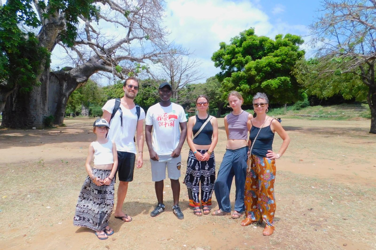 Diani: Taxi en luchthaventransfers