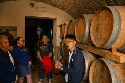 Florence: Chianti Fiat E-Car Tour with Wine Tasting & Lunch Topolino E-Car – Double Driver