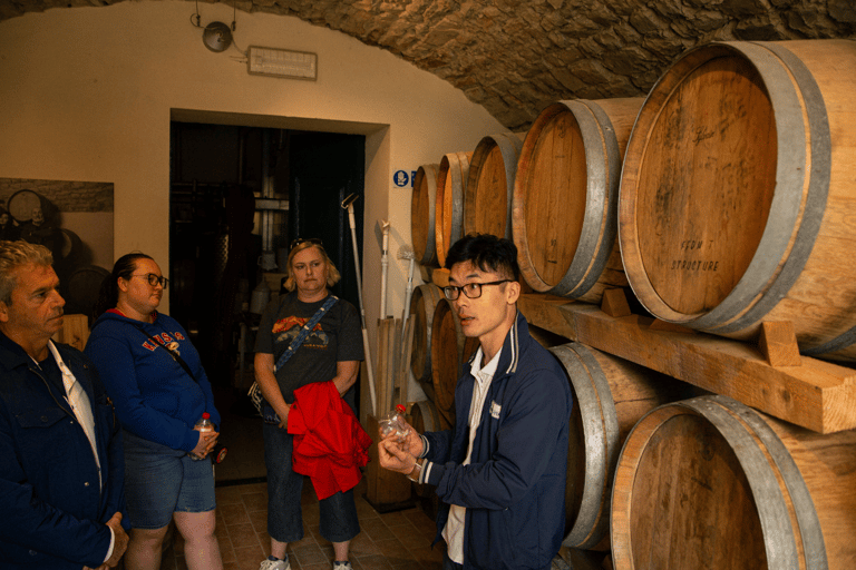 Florence: Chianti Fiat E-Car Tour with Wine Tasting & Lunch Topolino E-Car – Double Driver