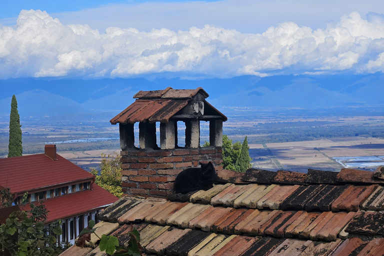 From Tbilisi: Kakheti Wine Journey with Sighnaghi and Telavi