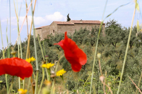 Vinci: Entrance to the Leonardo's Birthplace