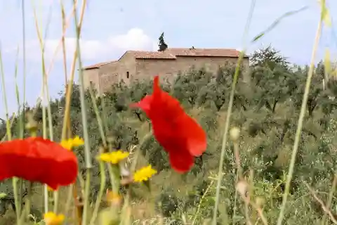 Ingresso alla Casa Natale di Leonardo