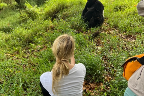 4-dniowa wycieczka Rwanda Uganda Gorilla Trekking Tour Experience
