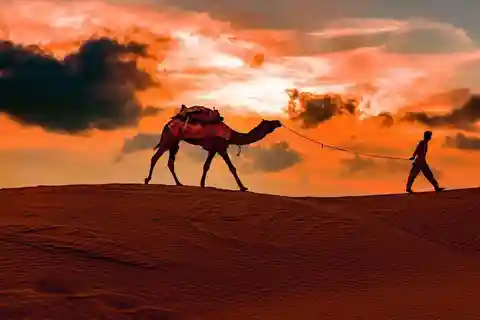 Doha: Nachtsafari & STARGAZING-freier Kamelritt, Falke, ATV