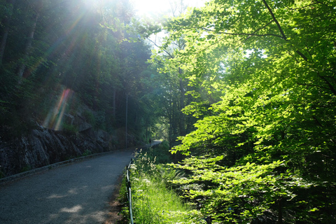 Bergen: Urban Mountain Hiking and History Tour