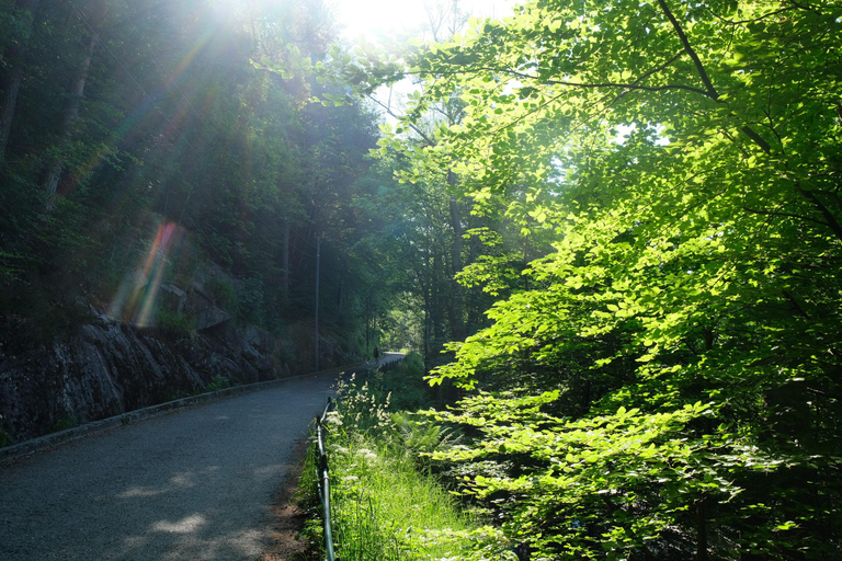 Bergen: Urban Mountain Hiking and History Tour
