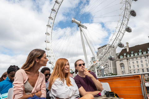 London: Westminster Walking Tour & London Eye Ticket
