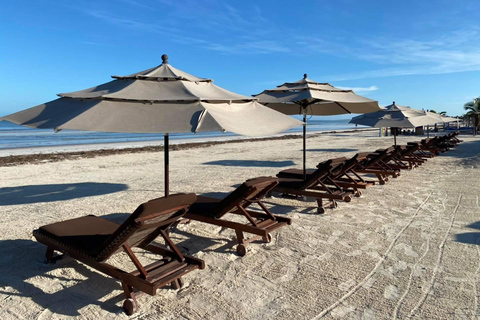 Cancun: Holbox plus Island, Punta Mosquito Trip with Lunch