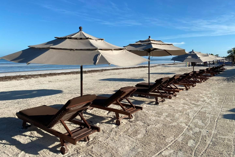 Cancun: Holbox plus Island, Punta Mosquito Trip with Lunch