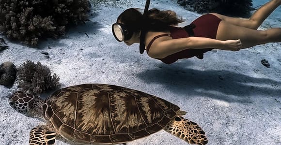Panglao Bohol: Balicasag Island Hopping & Dolphin Watching