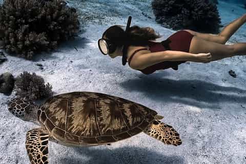 Panglao Bohol: Balicasag Island Hopping & Dolphin Watching - Image 3