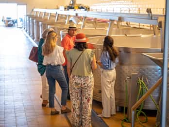 Visita la Bodega Herdade da Comporta