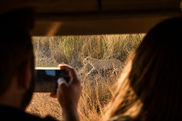 Pilanesberg: 2-Hour Big Five Safari with Hotel pick up