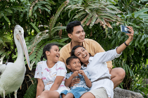 Parque de aves de Bali: ticket de un día