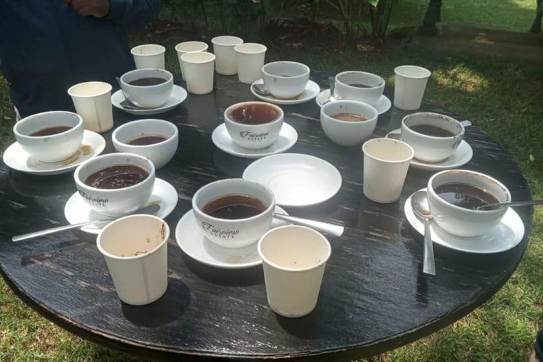 Nairobi: Tour della fabbrica e della fattoria del caffè con trasferimento