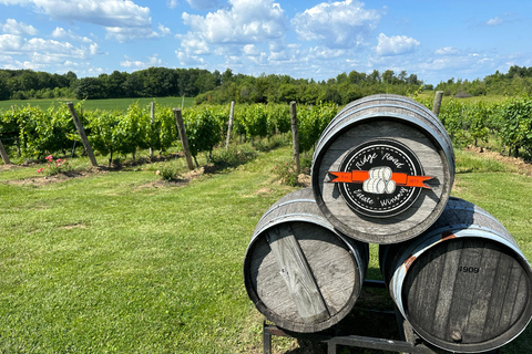 Passeio de vinho pelas Cataratas do Niágara saindo de Toronto em um trailer - MotorhomeVinho e maravilhas: Excursão às Cataratas do Niágara saindo de Toronto