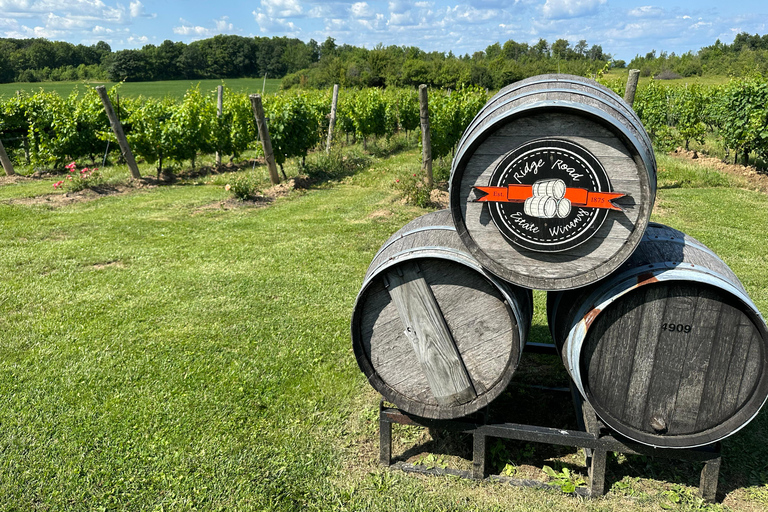 Passeio de vinho pelas Cataratas do Niágara saindo de Toronto em um trailer - MotorhomeVinho e maravilhas: Excursão às Cataratas do Niágara saindo de Toronto