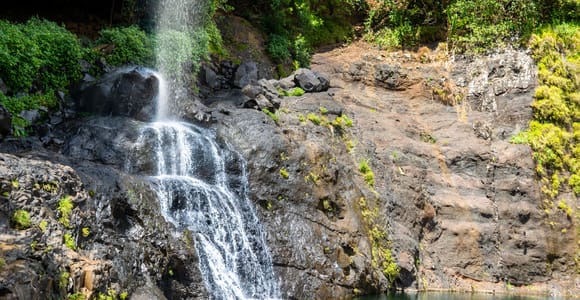 7 Tamarin Waterfalls: Swimming, Jumping & Complimentary Fruit/Coffee