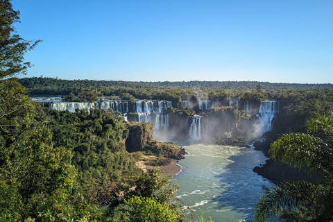 Bird Park & Iguassu Falls Private tour