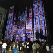 Rouen: Discover Rouen with a licenced tour guide