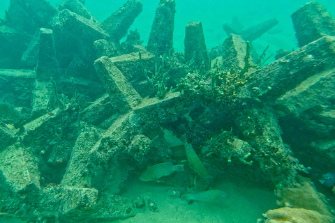 Ft Lauderdale: Combo Deal Snorkel Reefs, Kayak/SUP Mangroves
