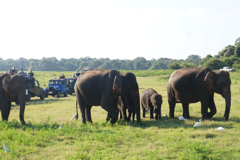 private tour guide in Sri lanka : 5 Days Tour Package