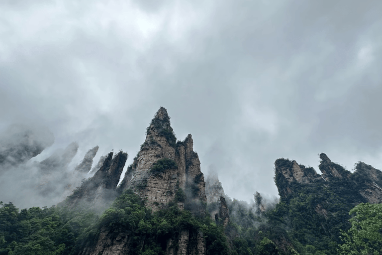 Zhangjiajie: Parque Florestal Nacional + Excursão de um dia à Montanha Tianzi