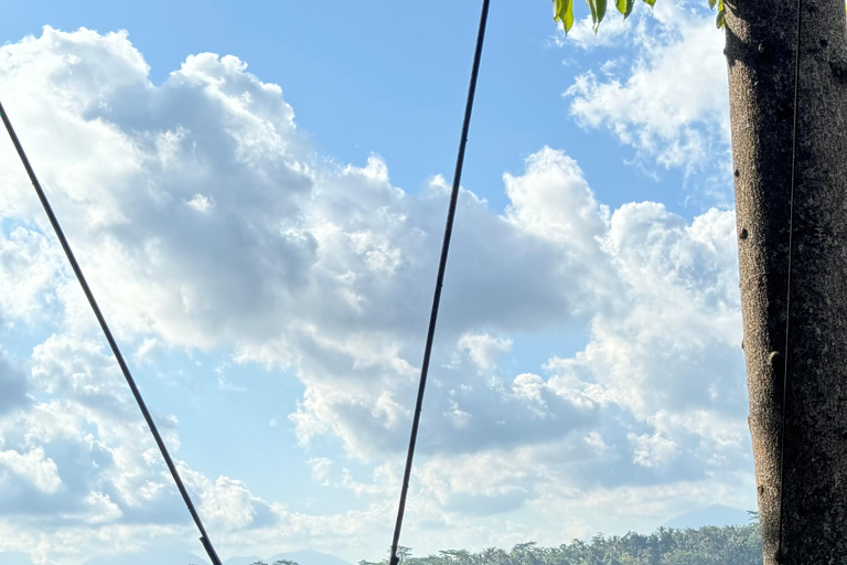 Ubud: Temple, Waterfall, Rice Terrace, Swing & Monkey Forest