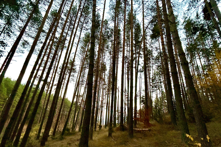 Sofia: Bulgaria - culture, nature and traditional cuisine