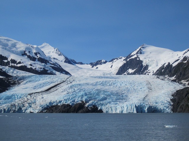 Anchorage: Glacier and Wildlife Explorer Cruise