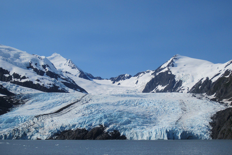 Anchorage: Portage Glacier en Wildlife Explorer Cruise
