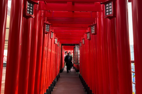 Naha: Guided E-Bike Tour of the 12 Zodiac Temples