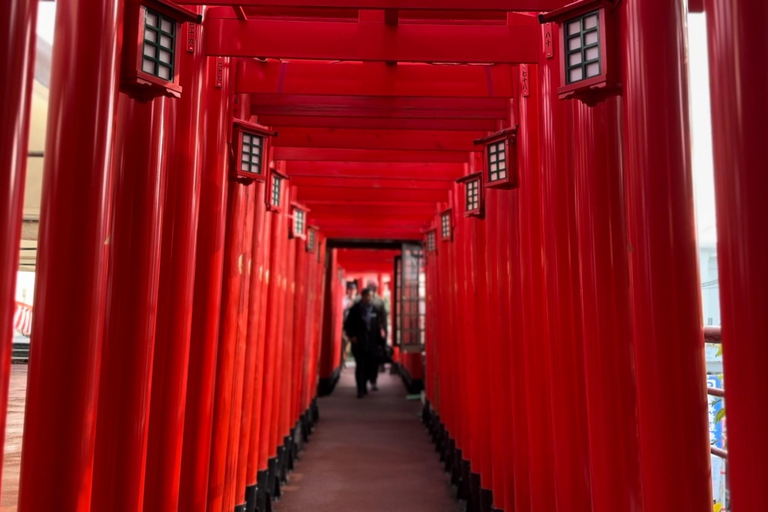 Naha: Guided E-Bike Tour of the 12 Zodiac Temples