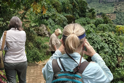 De Yogyakarta: Caminhada pelo Templo de Selogriyo e Borobudur