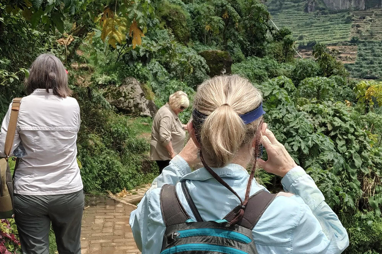 De Yogyakarta: Caminhada pelo Templo de Selogriyo e Borobudur