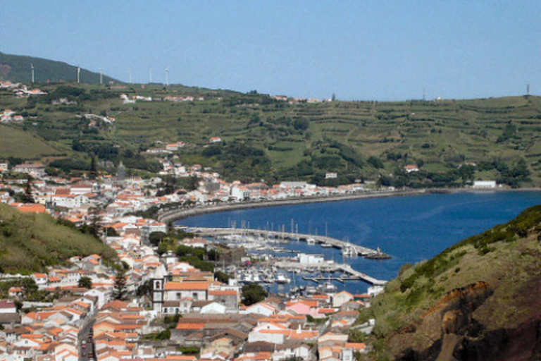 Faial Island Guided Eco Van Tour Half Day Shared Eco Tour