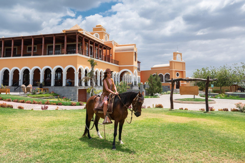 Passeio a cavalo pela Finca La Caravedo, sem degustação