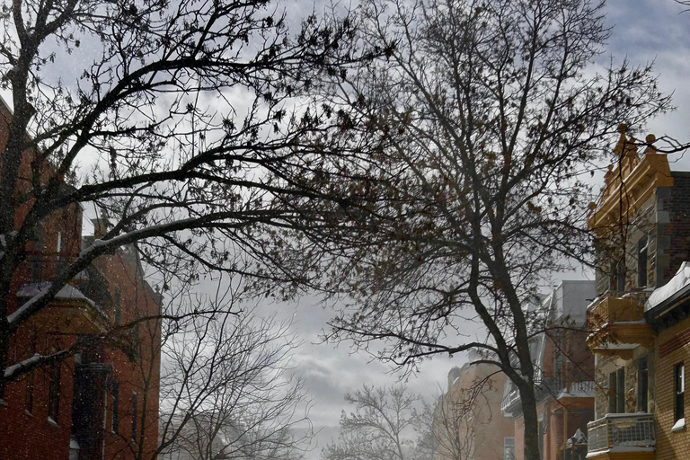 مونتريال: جولة تسوق مستعملة مع أحد السكان المحليين