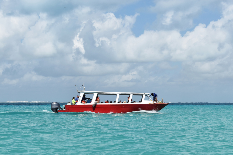 Cancun: Whake Shark Sightseeing, visit Isla Mujeres & Contoy