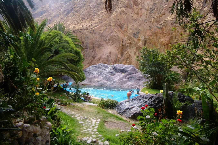 Excursion de 2 jours au Canyon de Colca avec fin à Puno