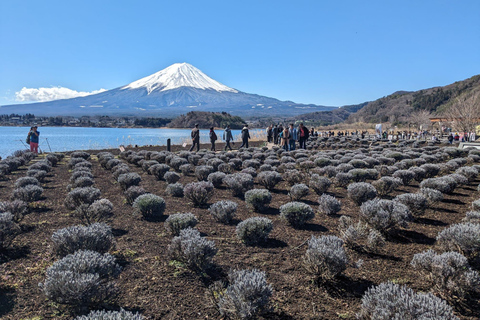 Depuis Tokyo : Excursion privée d'une journée au Mont Fuji et au lac Kawaguchiko